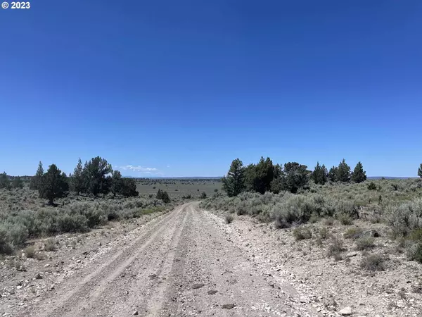 Christmas Valley, OR 97641,Browns Valley RD #501