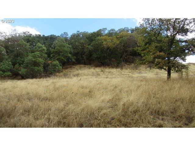 0 SE MEADOWLARK AVE, Myrtle Creek, OR 97457