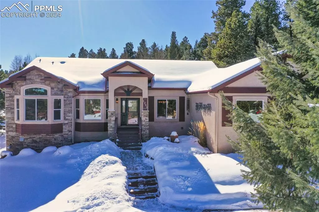 Woodland Park, CO 80863,1295 Windflower LN