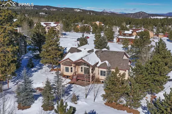 Woodland Park, CO 80863,1295 Windflower LN