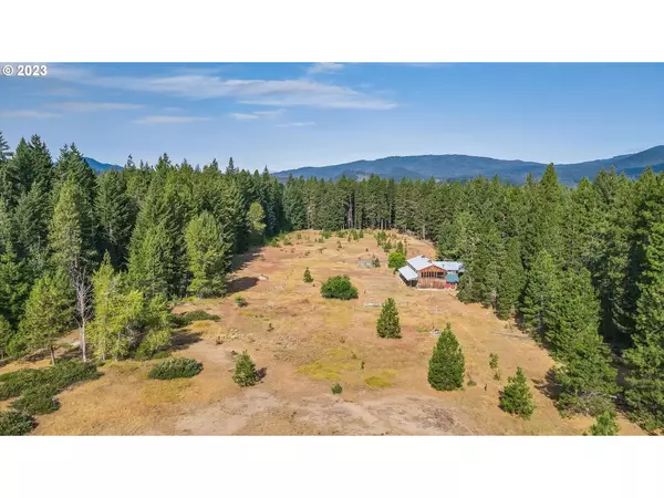 66 LAVA RD, Trout Lake, WA 98650