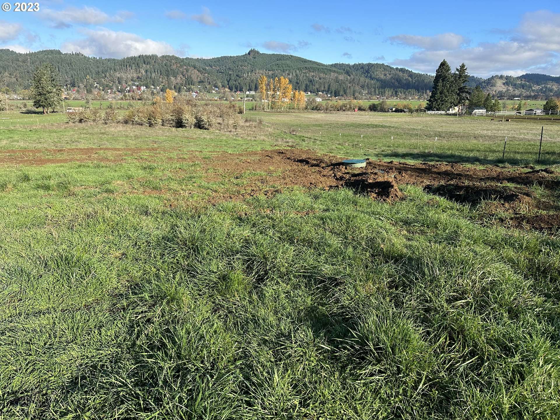Sutherlin, OR 97479,1994 SOUTHSIDE RD