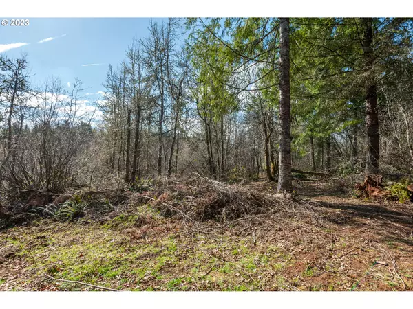 Winlock, WA 98596,133 SILVERTHISTLE RD