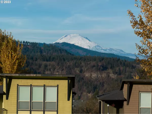 Hood River, OR 97031,251 MT RAINIER LOOP