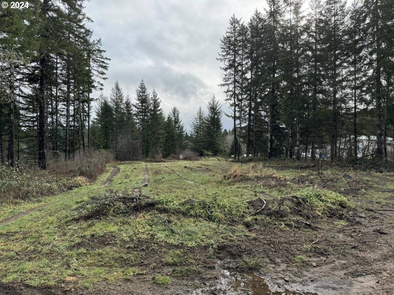 Blodgett, OR 97326,294 BENNETT LN
