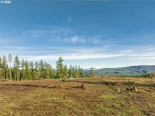 TRAILBLAZER LN #B-1, Castle Rock, WA 98611