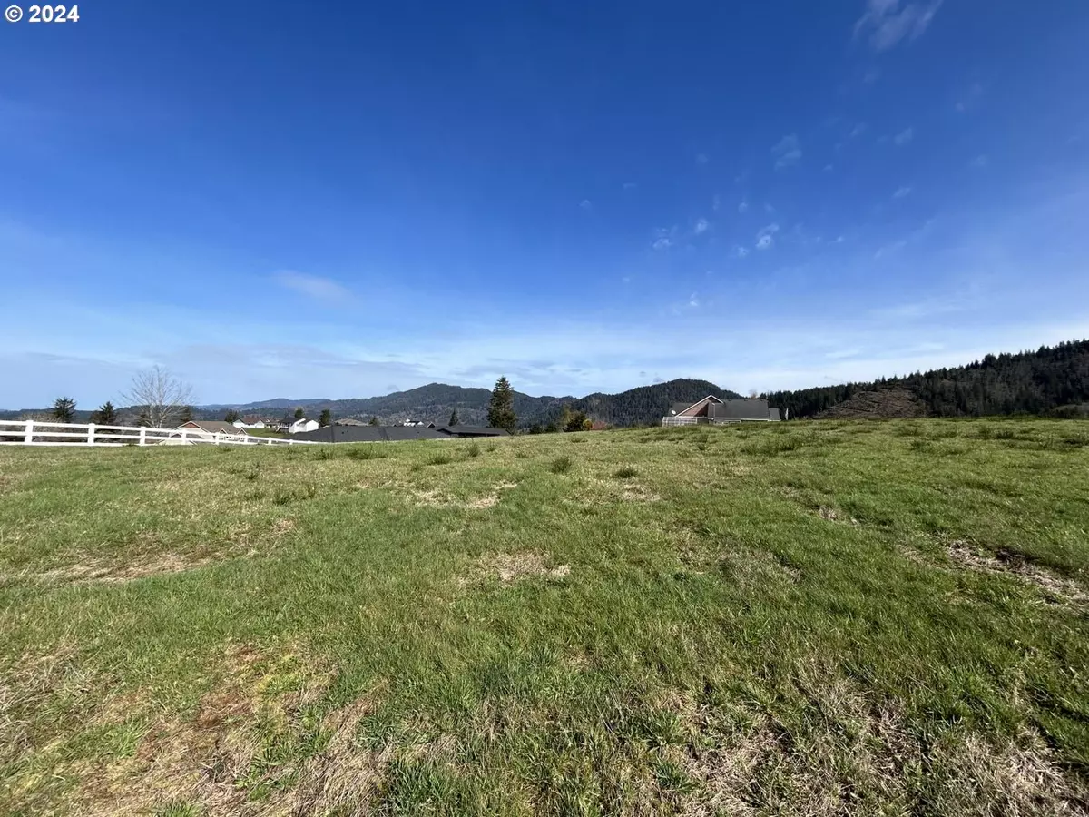 Tillamook, OR 97141,Lot 22 Skyview Road