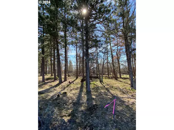 Goldendale, WA 98620,D Pine RD #Lot 4