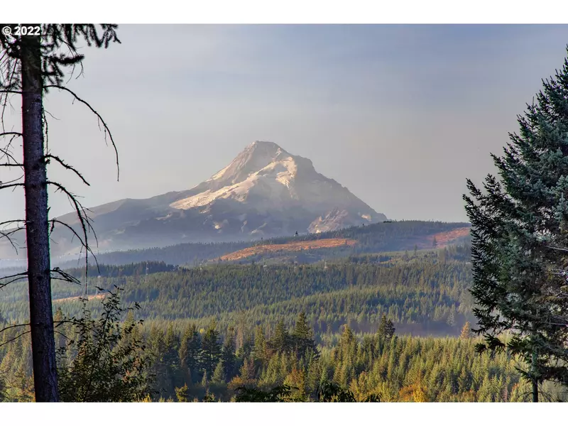 BERRY DR, Mt Hood Prkdl, OR 97041