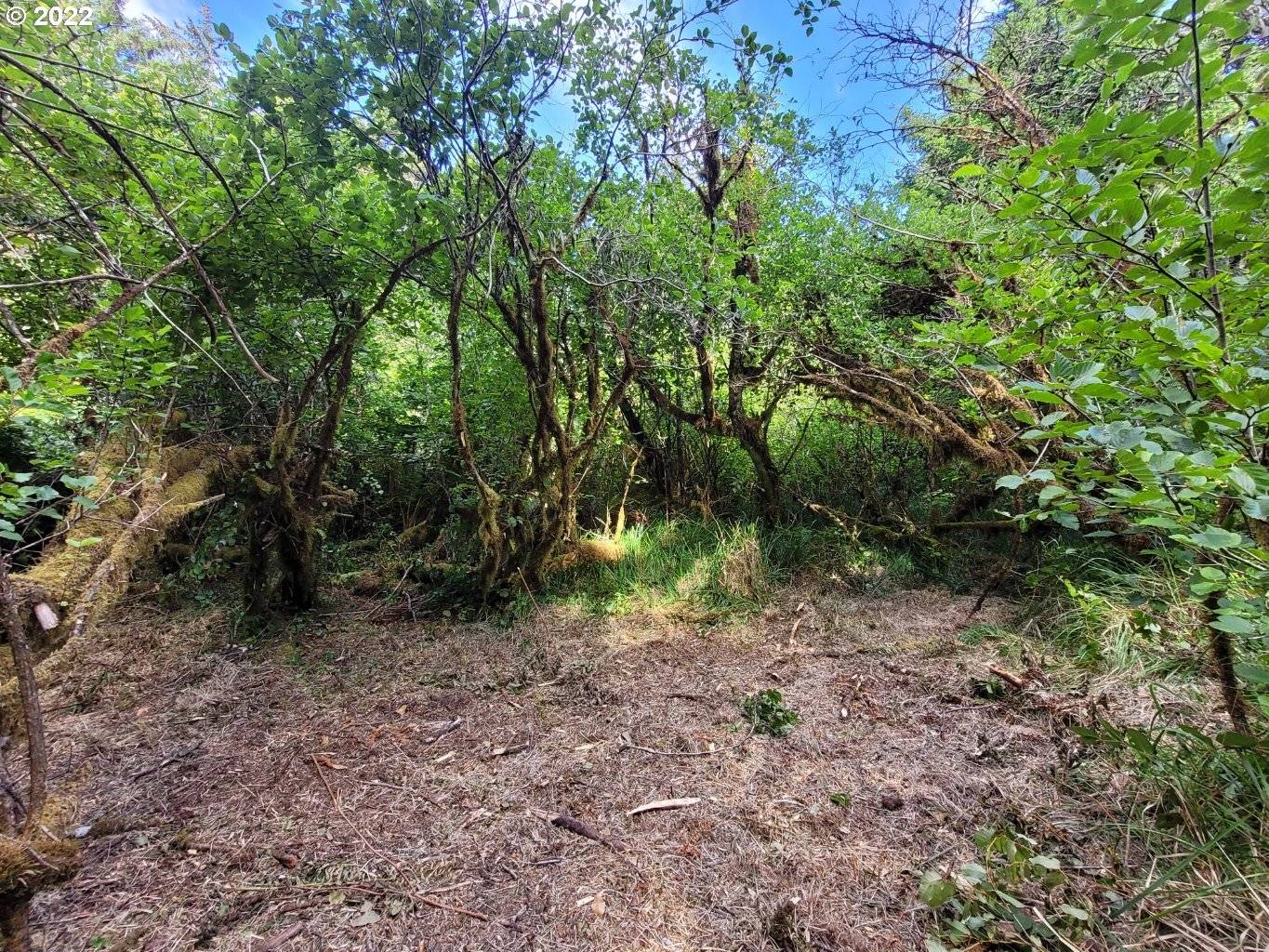 Langlois, OR 97450,Floras Lake RD #402