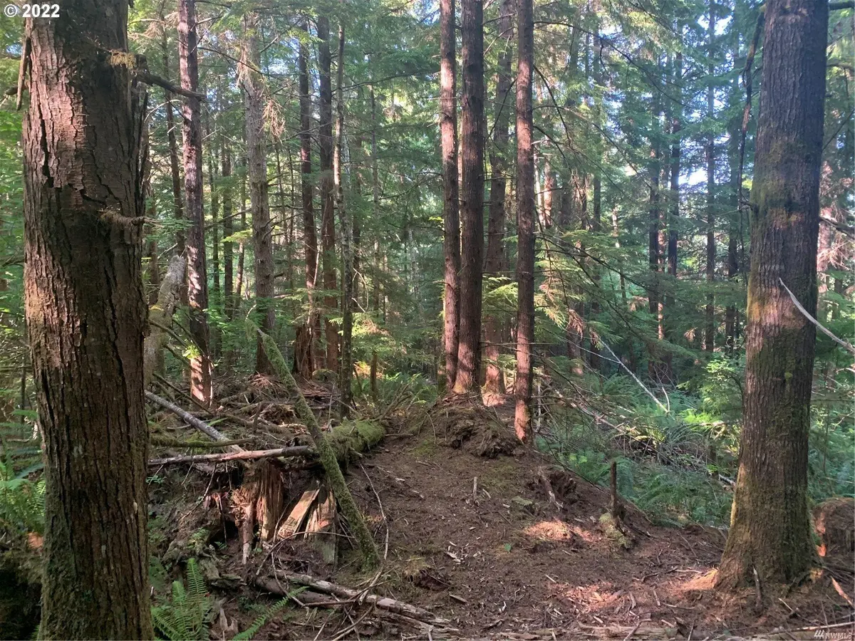 Naselle, WA 98638,4 Parpala RD