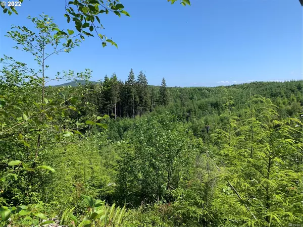 Naselle, WA 98638,2 Parpala RD