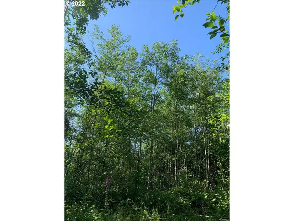 Naselle, WA 98638,2 Parpala RD