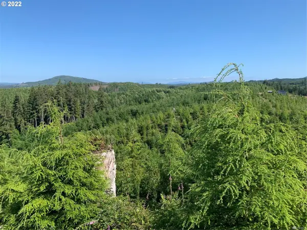 Naselle, WA 98638,4 Parpala RD