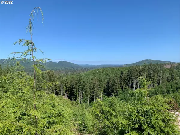 Naselle, WA 98638,4 Parpala RD