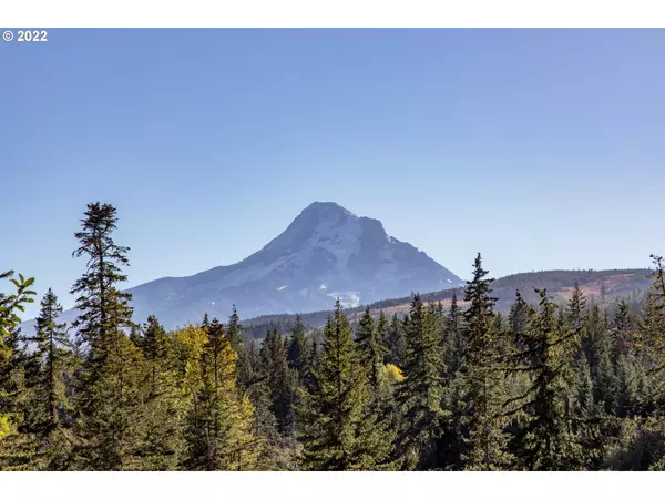 Mt Hood Prkdl, OR 97041,BERRY DR