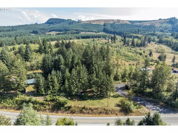 Toutle, WA 98649,0 Kid Valley RD