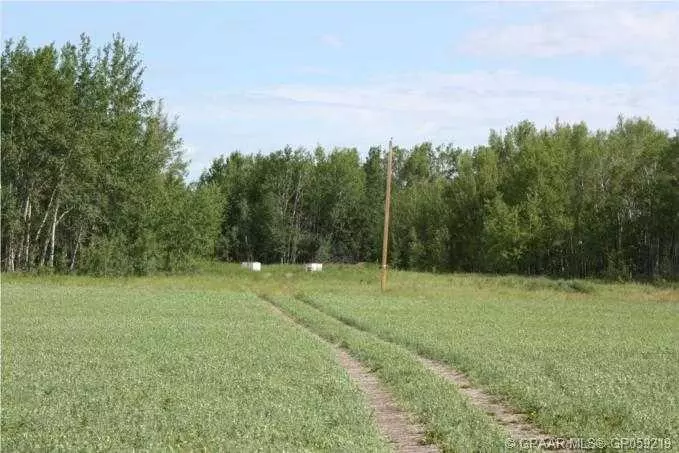 Rural Northern Sunrise County, AB T0G 1E0,202 Range Road