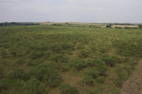 Lot 117 Comanche Lake Rd., Comanche, TX 76442