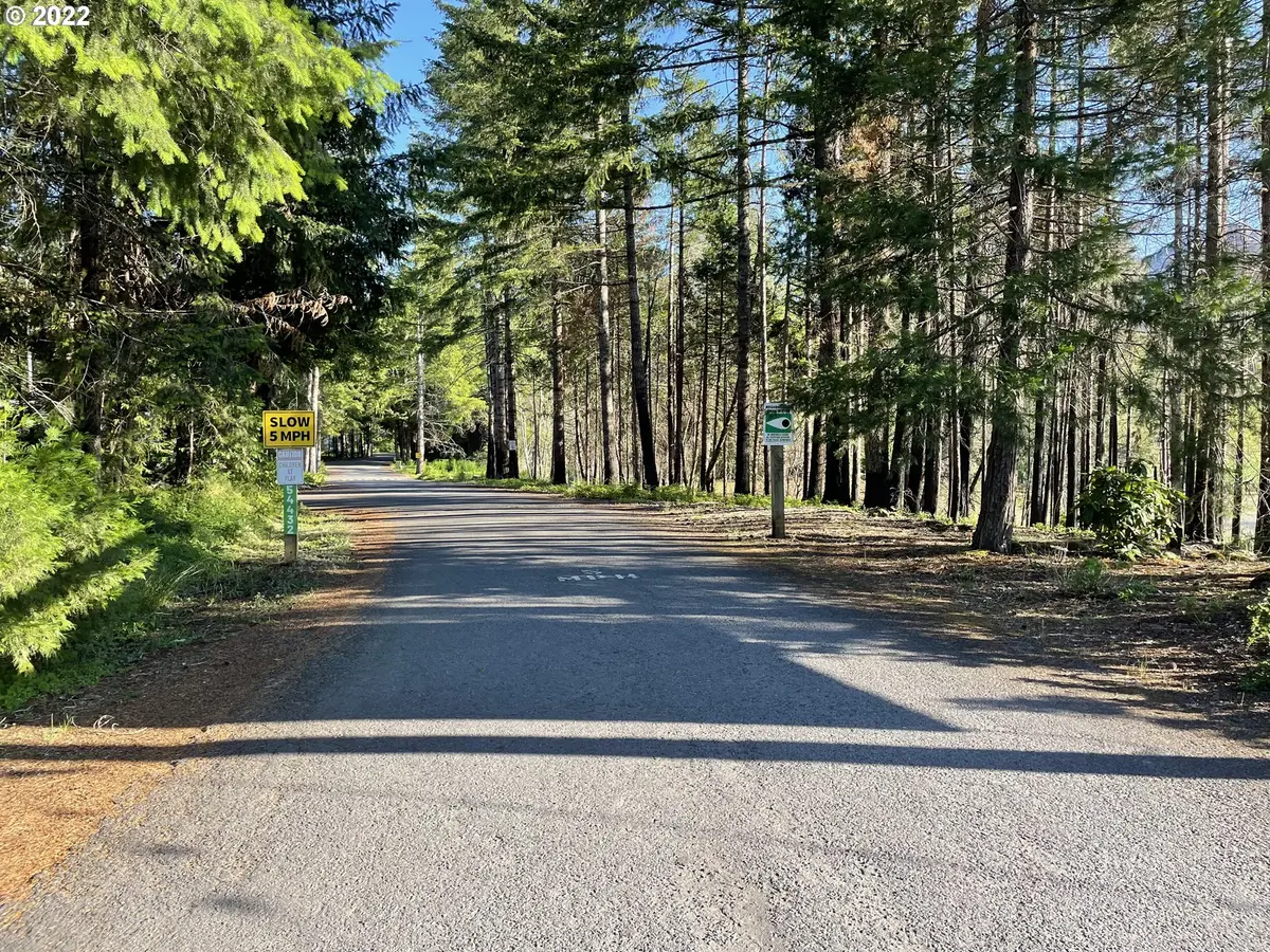 54432 MCKENZIE HWY #9, Blue River, OR 97413