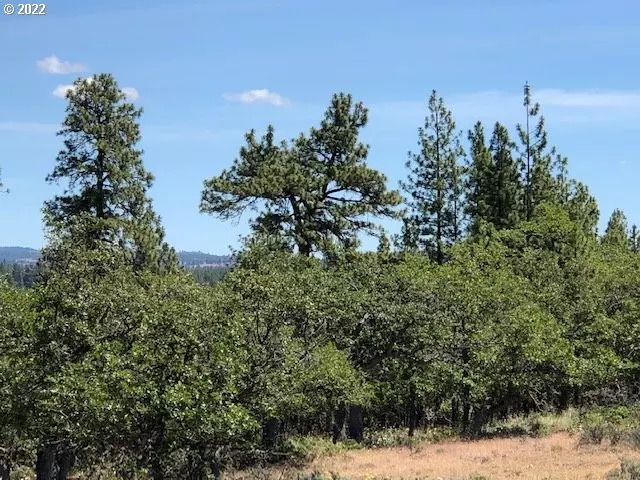 Goldendale, WA 98620,000 HARBISON