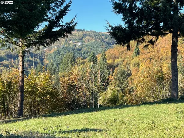 Woodland, WA 98674,697 SOMMERSET RD