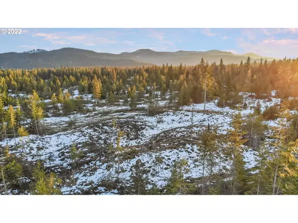 Trout Lake, WA 98650,Byrkett RD #Lot 3