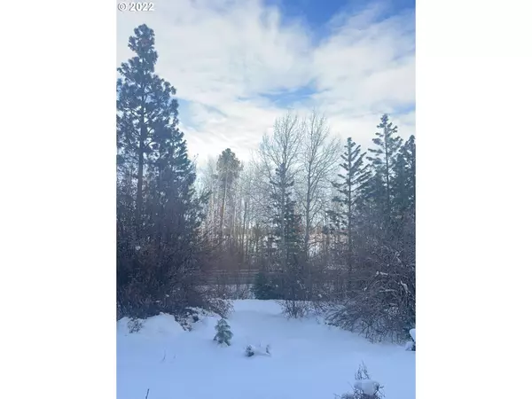 Klamath Falls, OR 97601,LOT 116-120 Red Barn RD