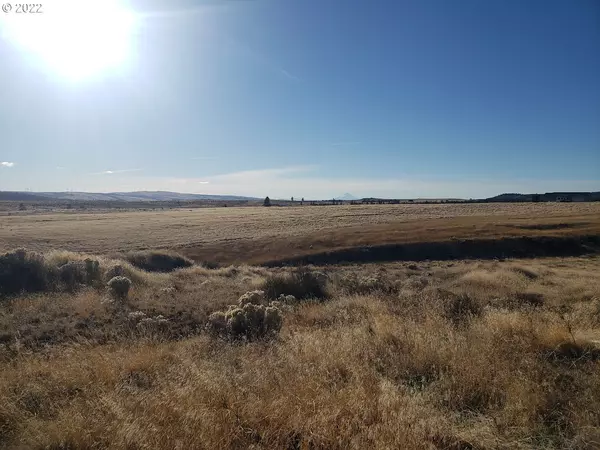 Goldendale, WA 98620,Old Mountain RD