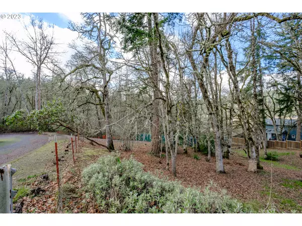 Eugene, OR 97403,Moon Mountain DR