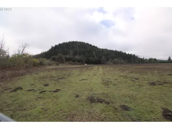 0 CANYONVILLE-RIDDLE RD, Riddle, OR 97469