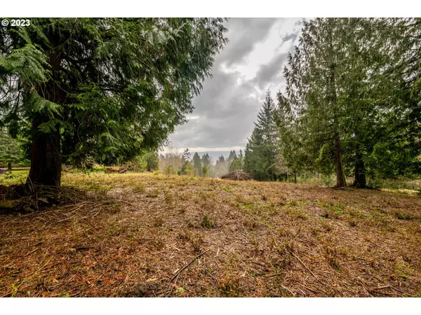 566 MARTINS BLUFF RD, Kalama, WA 98625