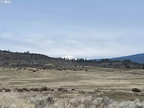 Goldendale, WA 98620,Badger Gulch Rd NKA