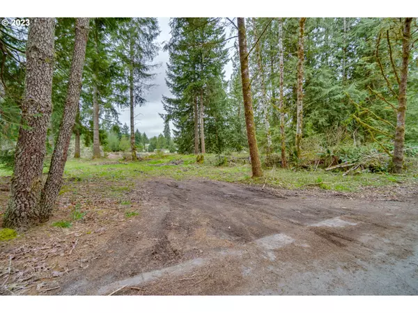 Castle Rock, WA 98611,527 TOUTLE RIVER RD