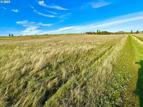 Goldendale, WA 98620,1310 Scale House RD