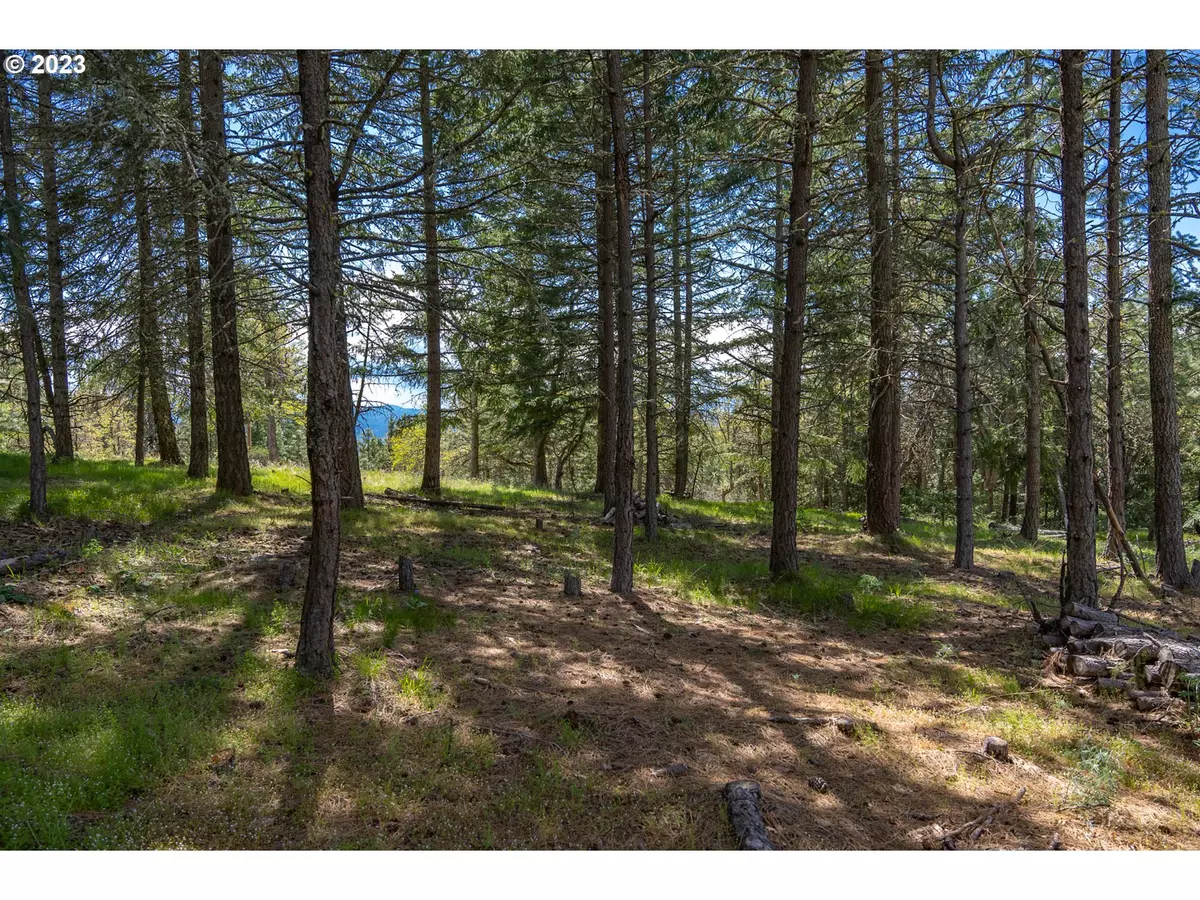 Lyle, WA 98635,390 Canyon DR #LOT 2