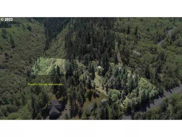 Lyle, WA 98635,390 Canyon DR #LOT 2