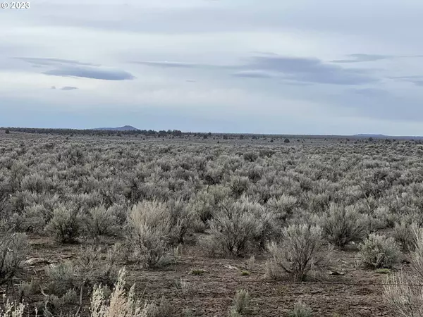 Christmas Valley, OR 97641,2600 Arrow Gap RD