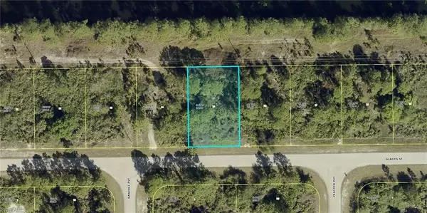 Lehigh Acres, FL 33974,1033 Gladys ST