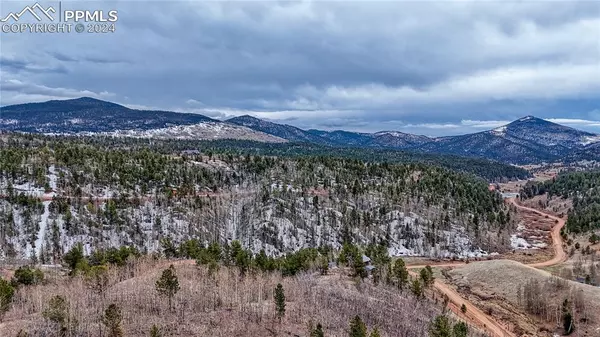 Cripple Creek, CO 80827,182 Granite LN