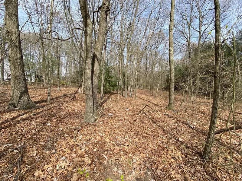 Birch Drive #Lot A114, Jim Thorpe Borough, PA 18229