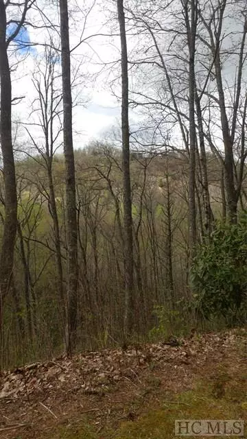 Lot 5 North Captiva Mountain, Cullowhee, NC 28723