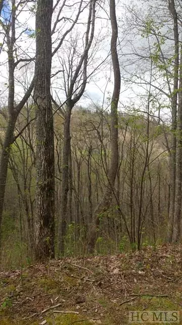 Lot 4 N Captiva Mt Drive, Cullowhee, NC 28723