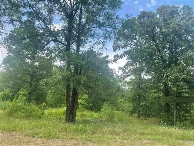 000 CR 2451, Clarksville, TX 75426