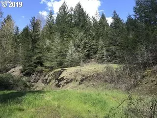 Paschelke RD, Marcola, OR 97454