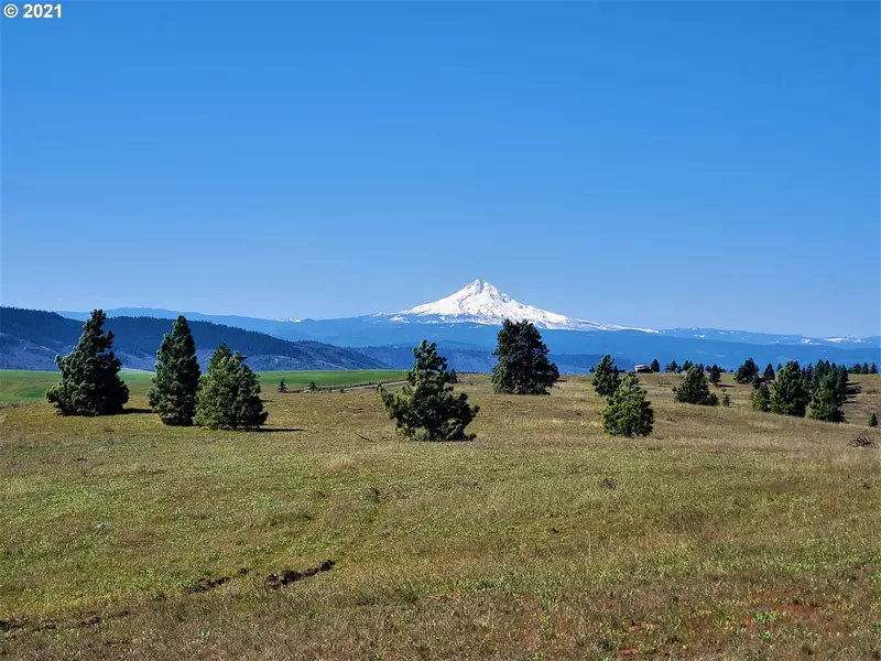 Johnson Creek RD, Lyle, WA 98635