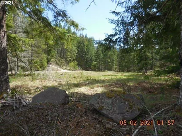 Lot 3 of Two Rivers, Cougar, WA 98616