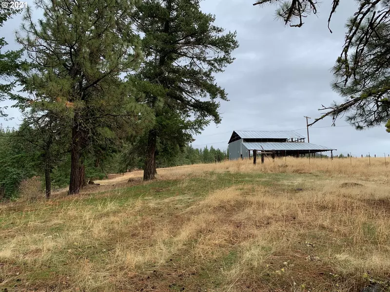 449 HUNTER RD, Goldendale, WA 98620