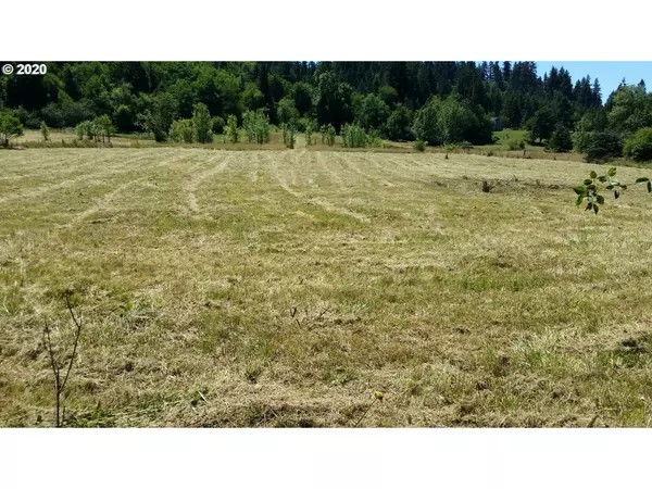 Kelso, WA 98626,0 Nesbit LOOP