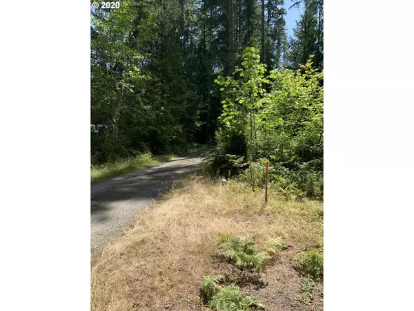 Toutle, WA 98649,318 S Toutle RD